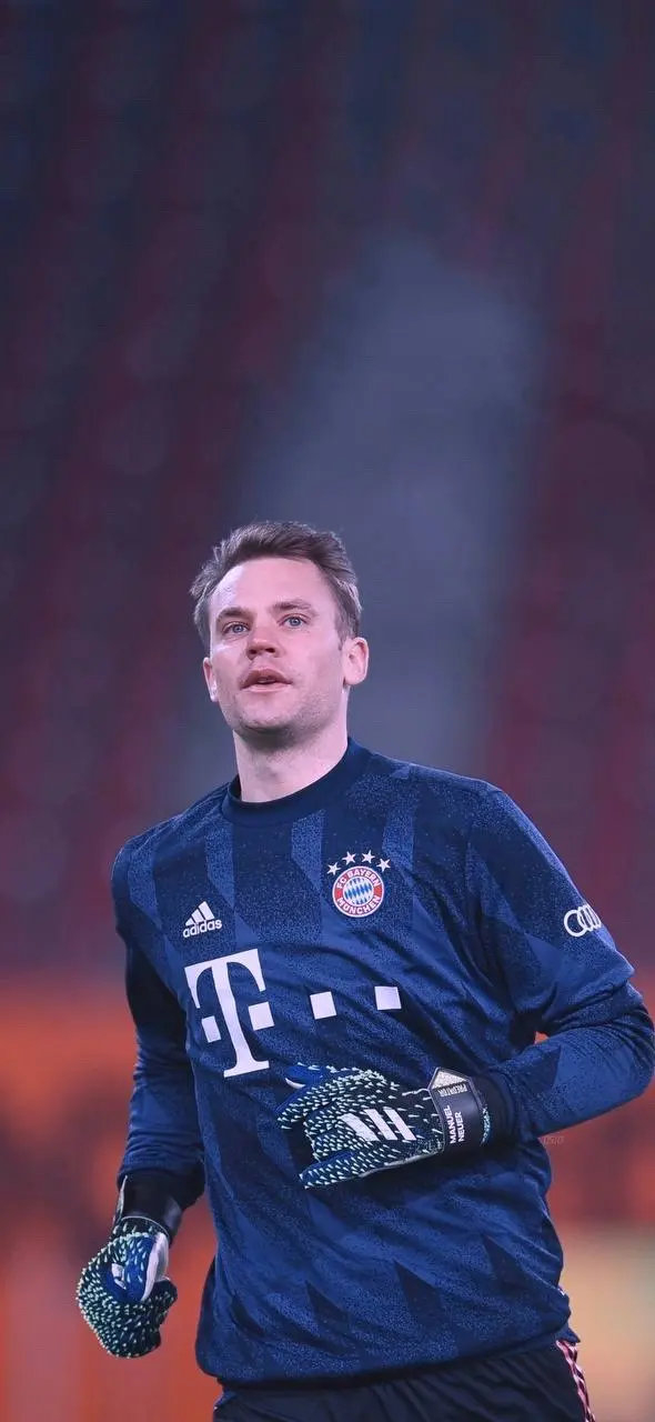 蒙德稳定性 蒙德稳定性