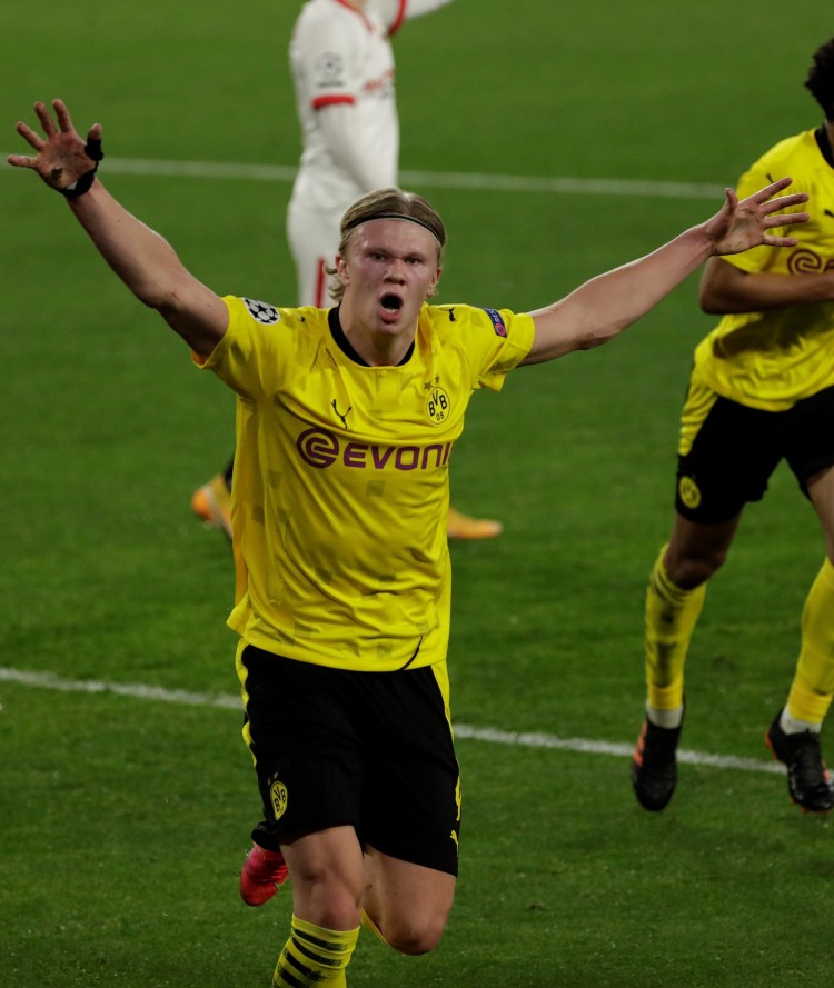 在高品质的 在高品质的