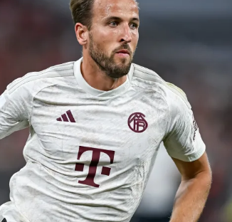 阿布扎比网 阿布扎比网