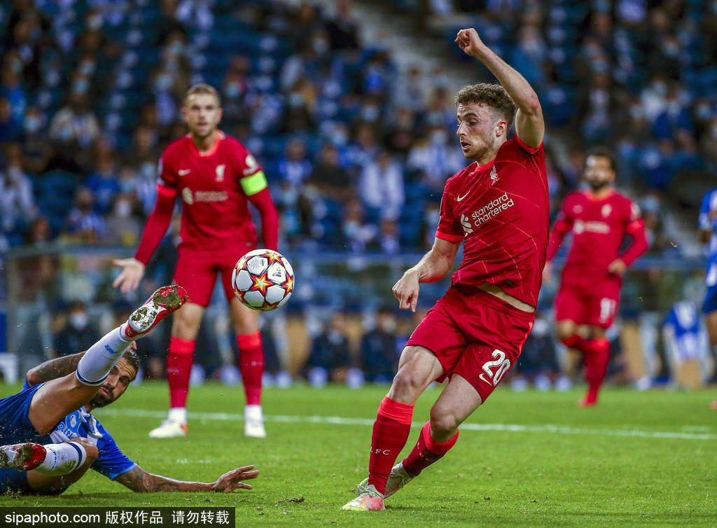 他们的主要 他们的主要