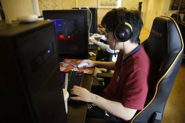 与丛林场景 与丛林场景