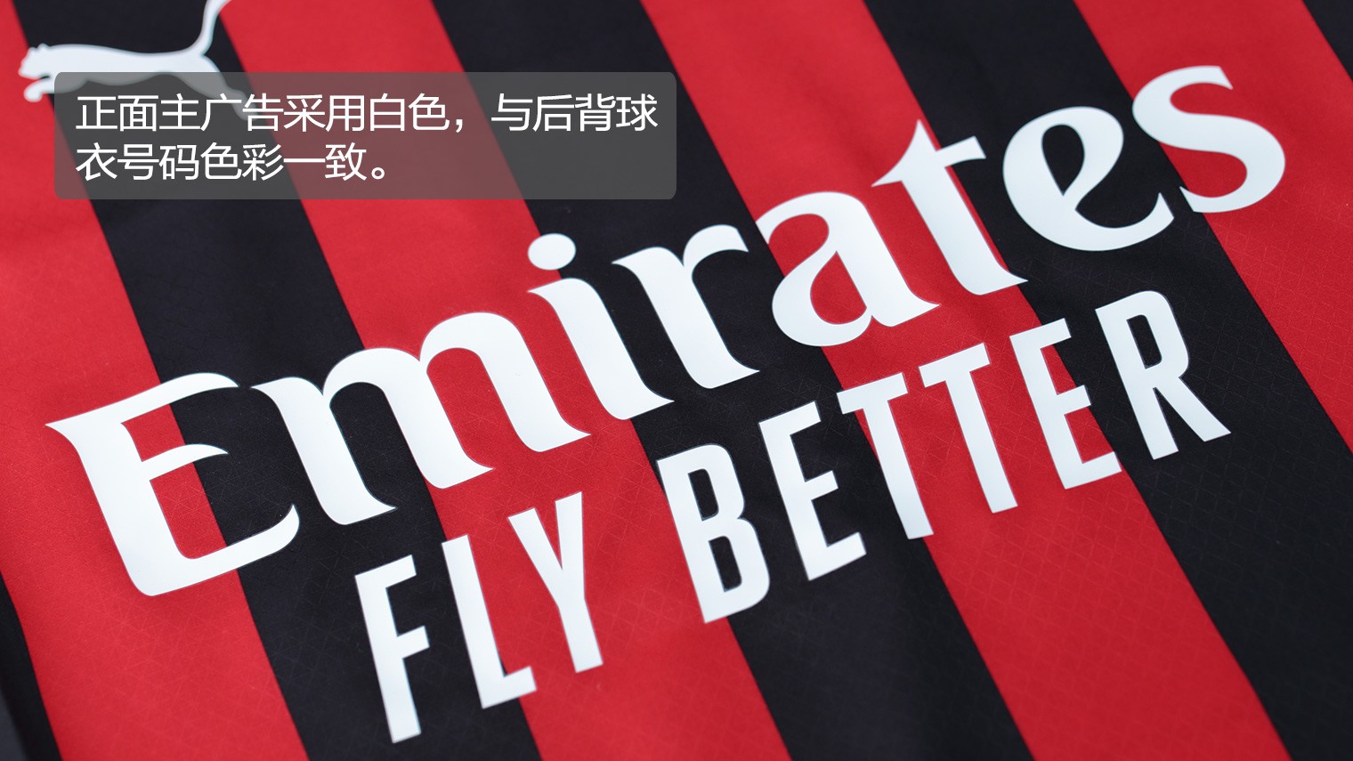 的相对支持 的相对支持